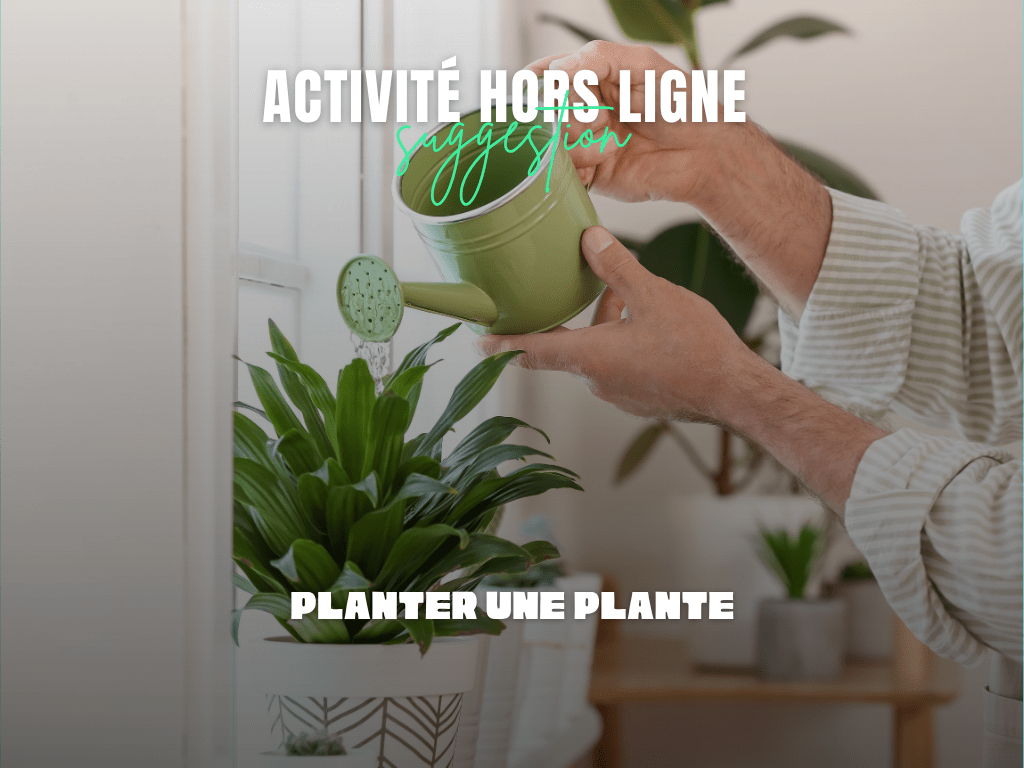 Planter une plante : un geste simple pour ralentir (et revenir dans le&nbsp;réel)